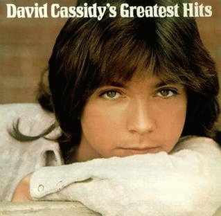 David Cassidy : David Cassidy's Greatest Hits
